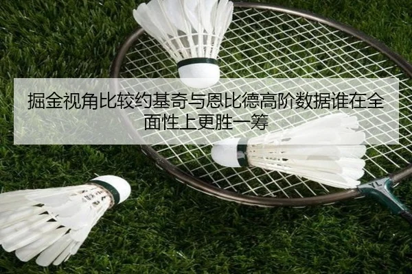 掘金视角比较约基奇与恩比德高阶数据谁在全面性上更胜一筹