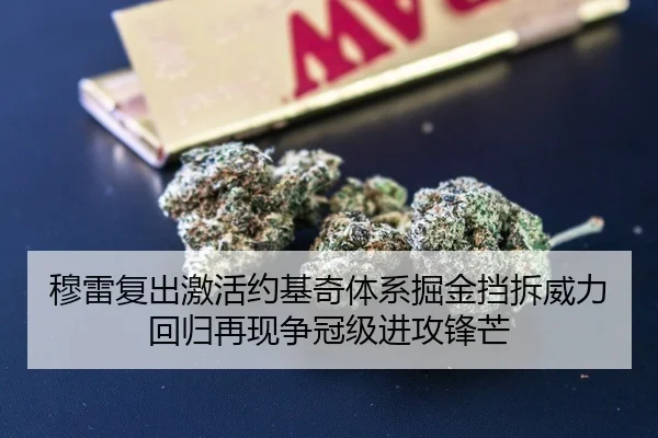穆雷复出激活约基奇体系掘金挡拆威力回归再现争冠级进攻锋芒