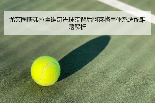尤文图斯弗拉霍维奇进球荒背后阿莱格里体系适配难题解析